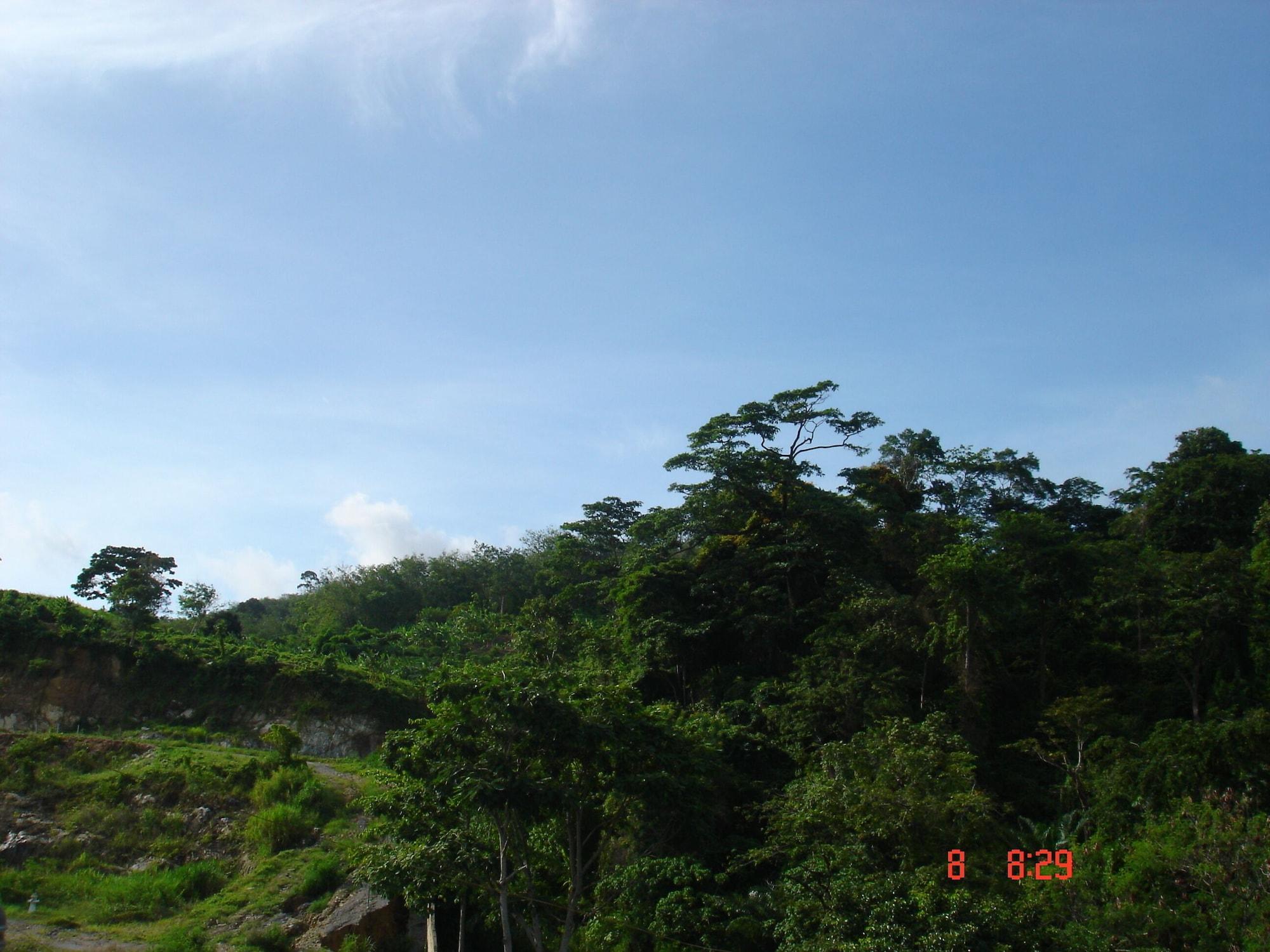 Lamai pensión Patong Exterior foto